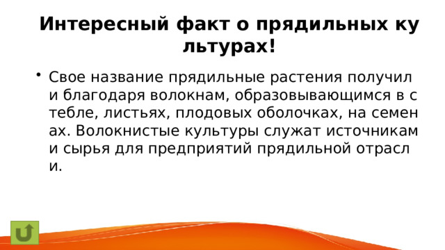 Интересный факт о прядильных культурах! Свое название прядильные растения получили благодаря волокнам, образовывающимся в стебле, листьях, плодовых оболочках, на семенах. Волокнистые культуры служат источниками сырья для предприятий прядильной отрасли. 