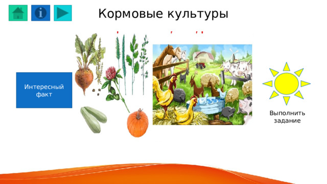 Кормовые культуры Интересный факт Выполнить задание 