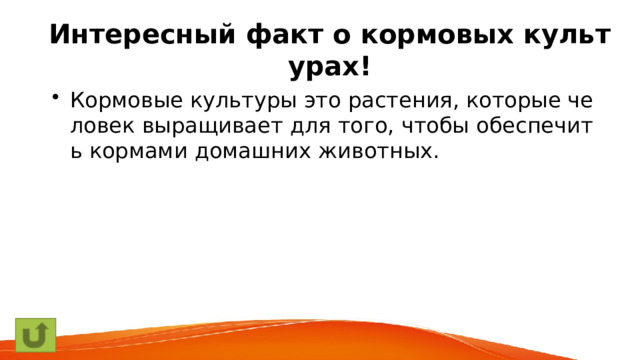 Интересный факт о кормовых культурах! Кормовые культуры это растения, которые человек выращивает для того, чтобы обеспечить кормами домашних животных. 