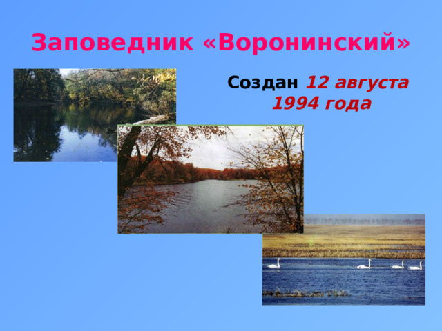 Заповедник «Воронинский» Создан 12 августа  1994 года 