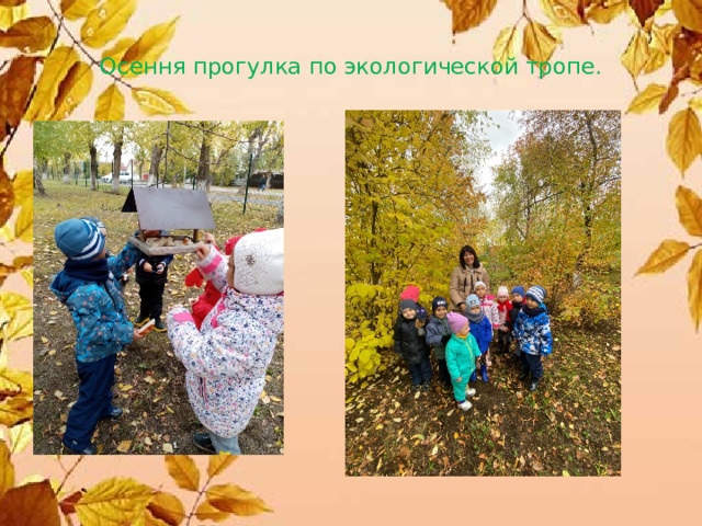  Осення прогулка по экологической тропе.   