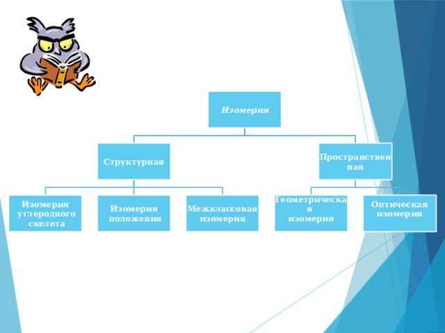 Изомерия Пространственная Структурная Изомерия Межклассовая Геометрическая Оптическая Изомерия  углеродного  положения изомерия изомерия изомерия  скелета  