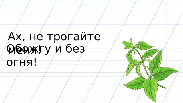 Ах, не трогайте меня! Обожгу и без огня! 