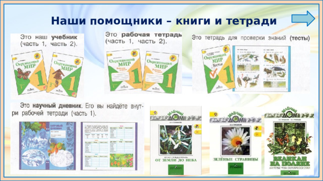 Наши помощники – книги и тетради 