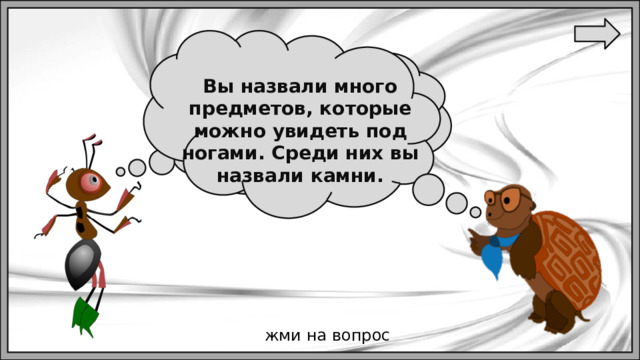 Вы назвали много предметов, которые можно увидеть под ногами. Среди них вы назвали камни. Ребята, как вы думаете,  что можно увидеть под ногами ? жми на вопрос 