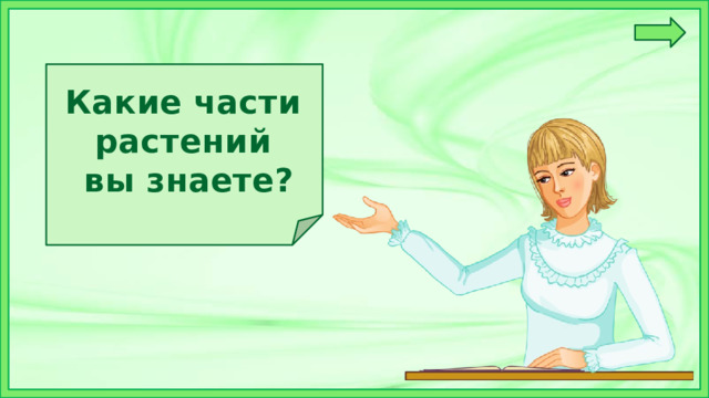 Какие части растений  вы знаете? 