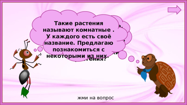 Такие растения называют комнатные . У каждого есть своё название. Предлагаю познакомиться с некоторыми из них. Ребята, а вы знаете,  какие растения растут у нас в классе, дома? Как называют такие растения? жми на вопрос 