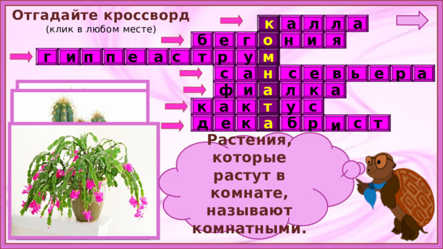  Отгадайте кроссворд  (клик в любом месте) а к а л л е г н и  я б о с а г и п п е р т у м с а н с е  в ь е р а ф л к а а и к а к у с т т а с б д е к р и Растения, которые растут в комнате, называют комнатными. 