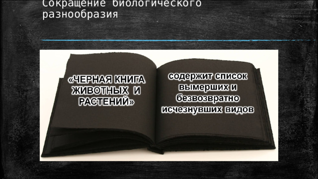 Сокращение биологического разнообразия   