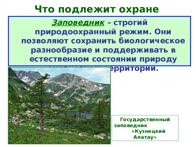 Что подлежит охране    Заповедник – строгий природоохранный режим. Они позволяют сохранить биологическое разнообразие и поддерживать в естественном состоянии природу охраняемых территорий. Государственный заповедник «Кузнецкий Алатау» 