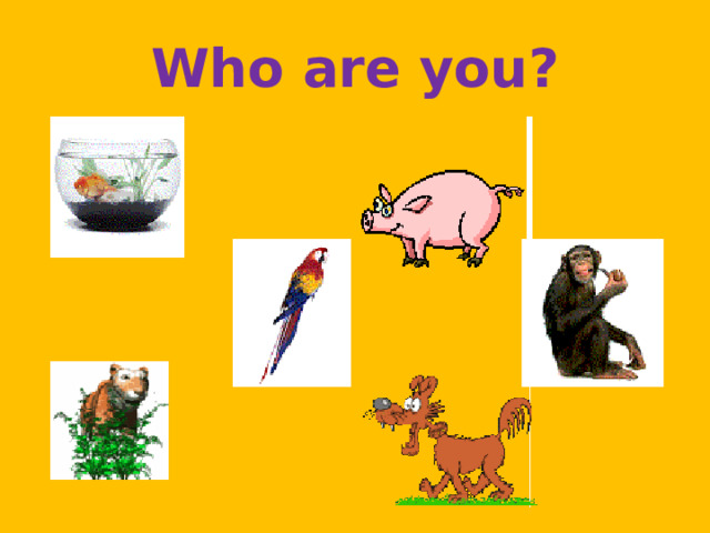Who are you? 