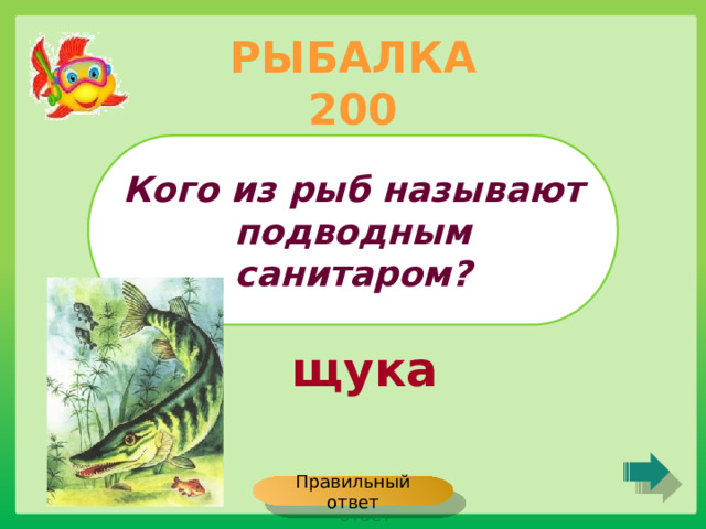 РЫБАЛКА 200 Кого из рыб называют подводным санитаром? щука Правильный ответ 