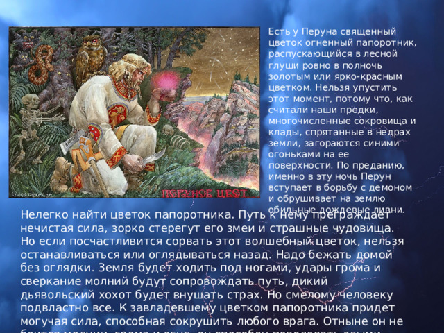 Есть у Перуна священный цветок огненный папоротник, распускающийся в лесной глуши ровно в полночь золотым или ярко-красным цветком. Нельзя упустить этот момент, потому что, как считали наши предки, многочисленные сокровища и клады, спрятанные в недрах земли, загораются синими огоньками на ее поверхности. По преданию, именно в эту ночь Перун вступает в борьбу с демоном и обрушивает на землю обильные дождевые ливни. Нелегко найти цветок папоротника. Путь к нему преграждает нечистая сила, зорко стерегут его змеи и страшные чудовища. Но если посчастливится сорвать этот волшебный цветок, нельзя останавливаться или оглядываться назад. Надо бежать домой без оглядки. Земля будет ходить под ногами, удары грома и сверкание молний будут сопровождать путь, дикий дьявольский хохот будет внушать страх. Но смелому человеку подвластно все. К завладевшему цветком папоротника придет могучая сила, способная сокрушить любого врага. Отныне он не боится молнии, грома и огня, он способен повелевать злыми духами. 
