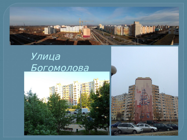 Улица Богомолова 