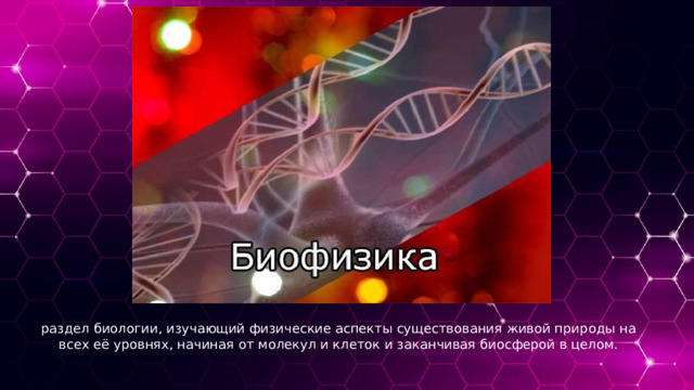 раздел биологии, изучающий физические аспекты существования живой природы на всех её уровнях, начиная от молекул и клеток и заканчивая биосферой в целом. 