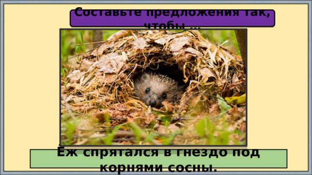 Составьте предложения так, чтобы … Ёж спрятался в гнездо под корнями сосны. 