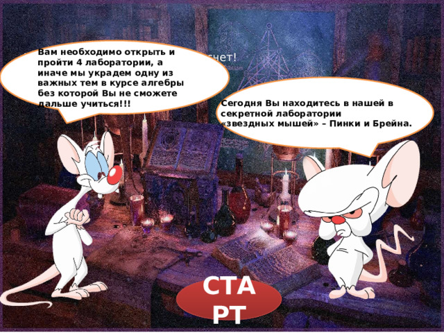 Вам необходимо открыть и пройти 4 лаборатории, а иначе мы украдем одну из важных тем в курсе алгебры без которой Вы не сможете дальше учиться!!! Удачи, время начинает свой отсчет! Сегодня Вы находитесь в нашей в секретной лаборатории «звездных мышей» – Пинки и Брейна. СТАРТ  