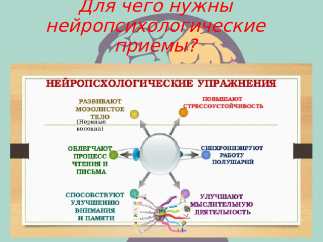 Для чего нужны нейропсихологические приемы? (Нервные волокна) 