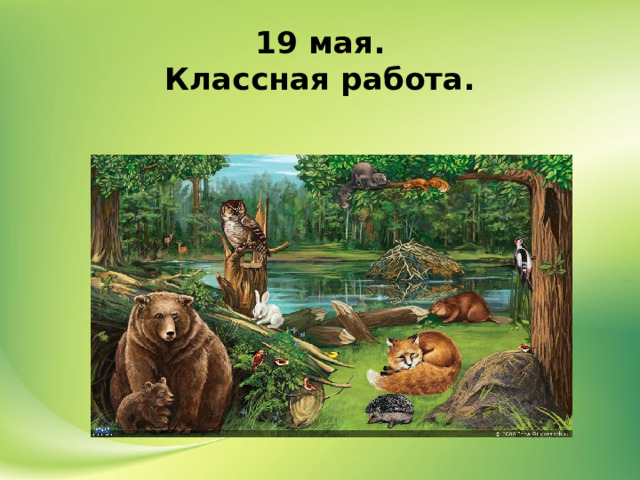 19 мая.  Классная работа. 