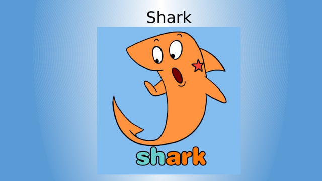 Shark 