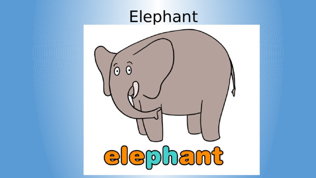 Elephant 