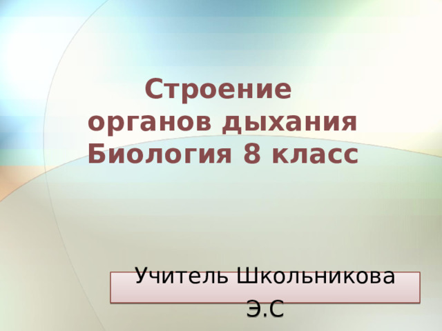 Строение  органов дыхания  Биология 8 класс Учитель Школьникова Э.С 