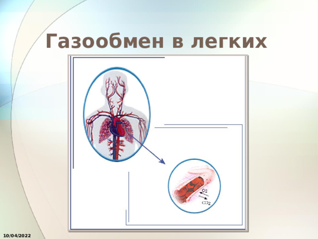 Газообмен в легких 10/04/2022 