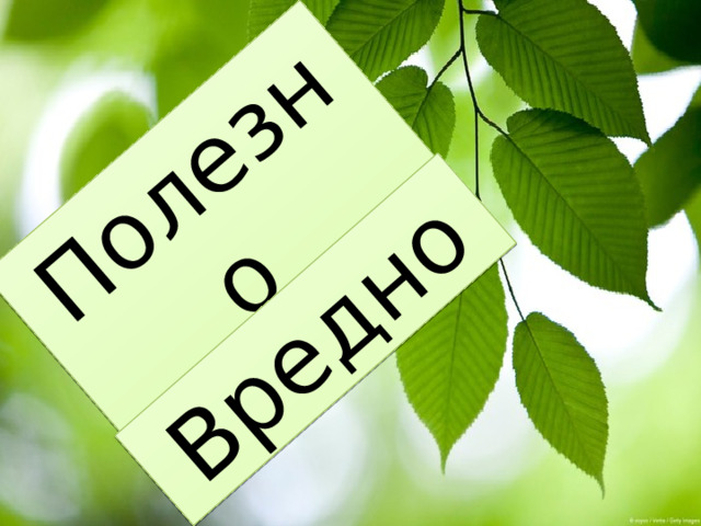 Полезно Вредно 