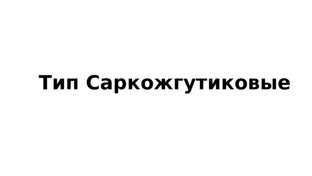 Тип Саркожгутиковые 