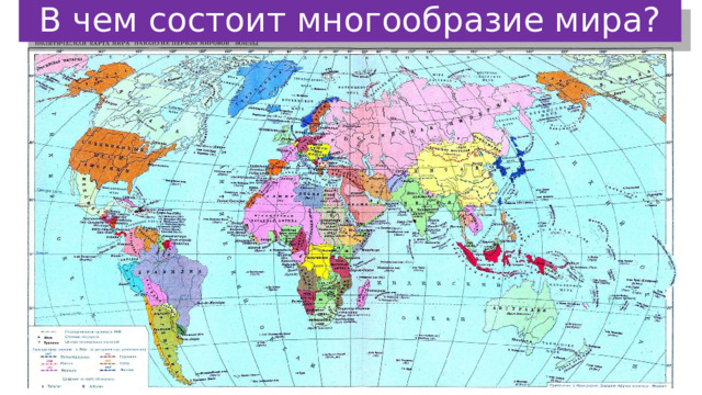 В чем состоит многообразие мира? 