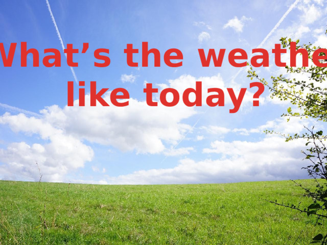 What’s the weather like today? 