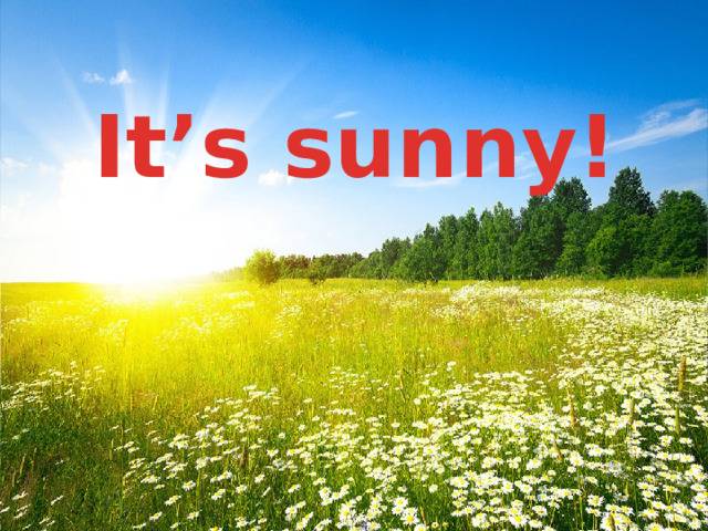 It’s sunny! 