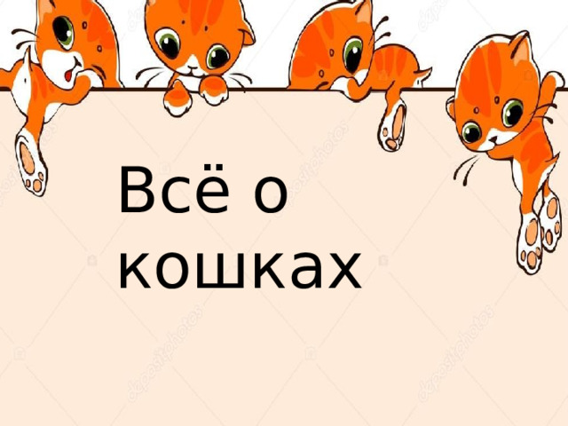 Всё о кошках  