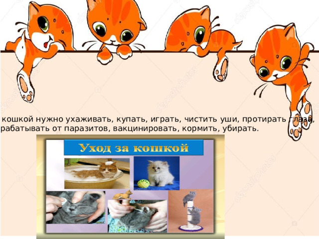 За кошкой нужно ухаживать, купать, играть, чистить уши, протирать глаза, Обрабатывать от паразитов, вакцинировать, кормить, убирать. 