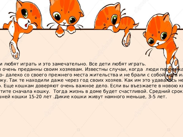  Кошки любят играть и это замечательно. Все дети любят играть. Кошки очень преданны своим хозяевам. Известны случаи, когда люди переезжали далеко- далеко со своего прежнего места жительства и не брали с собой кота или Кошечку. Так те находили даже через год своих хозяев. Как им это удавалась не знает ни кто. Еще кошкам доверяют очень важное дело. Если вы въезжаете в новою квартиру, то пустите сначала кошку. Тогда жизнь в доме будет счастливой. Средний срок жизни домашней кошки 15-20 лет .Дикие кошки живут намного меньше, 3-5 лет. 