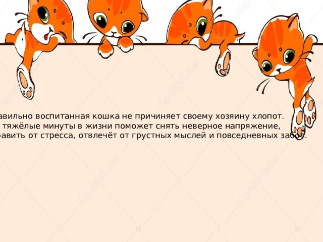 Правильно воспитанная кошка не причиняет своему хозяину хлопот. А в тяжёлые минуты в жизни поможет снять неверное напряжение, избавить от стресса, отвлечёт от грустных мыслей и повседневных забот. 
