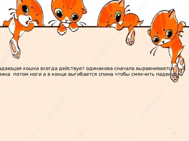 Падающая кошка всегда действует одинакова сначала выравнивается Спина потом ноги а в конце выгибается спина чтобы смякчить падение 