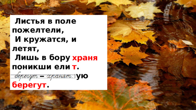  Листья в поле пожелтели,  И кружатся, и летят,  Лишь в бору поникши ели  Зелень мрачную берегут .  хранят . 