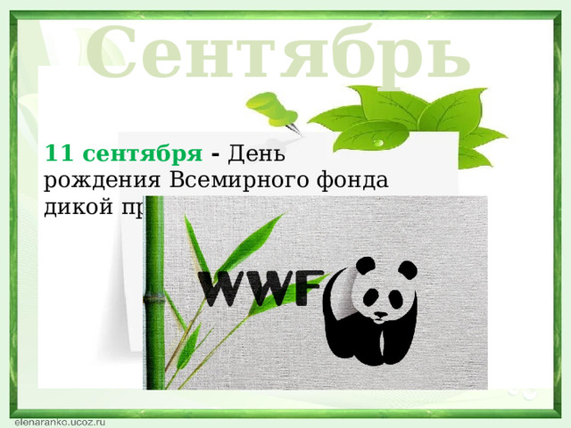 Сентябрь 11 сентября - День рождения Всемирного фонда дикой природы ( WWF)  
