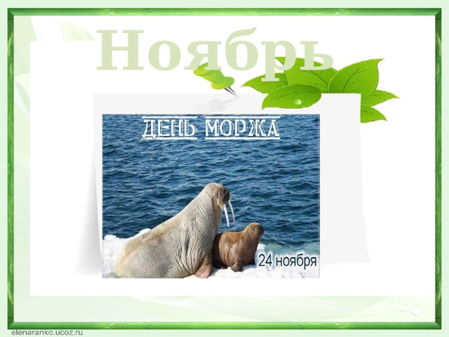 Ноябрь  