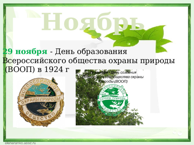 Ноябрь 29 ноября - День образования Всероссийского общества охраны природы  (ВООП) в 1924 г  