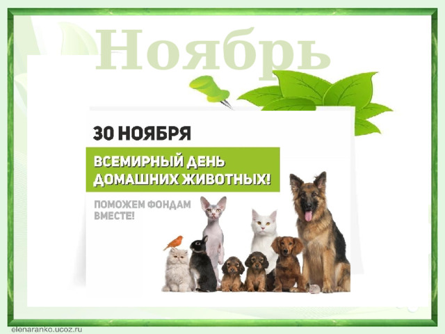 Ноябрь  