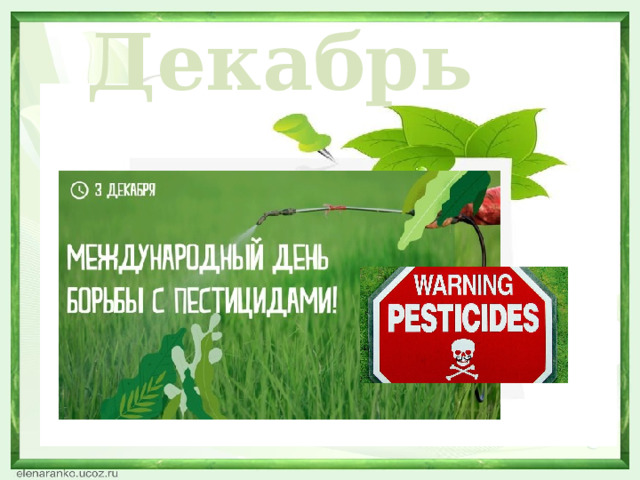 Декабрь  