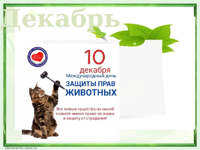 Декабрь  