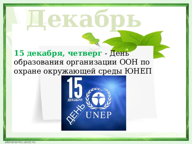 Декабрь 15 декабря, четверг - День образования организации ООН по охране окружающей среды ЮНЕП  