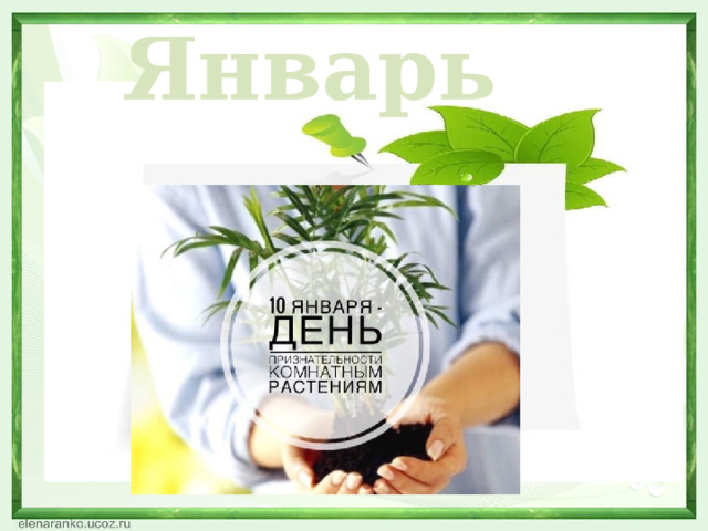 Январь  