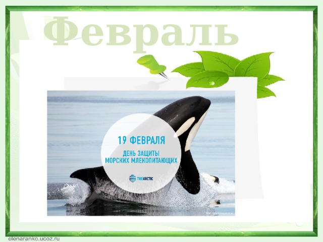 Февраль  
