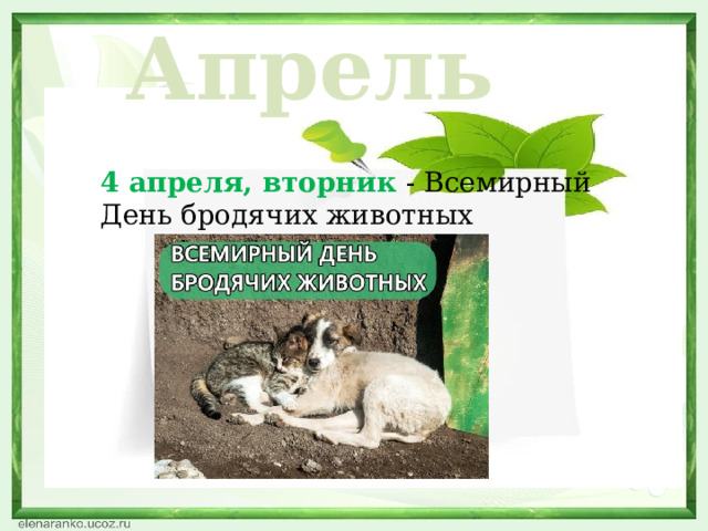 Апрель 4 апреля, вторник - Всемирный День бродячих животных  