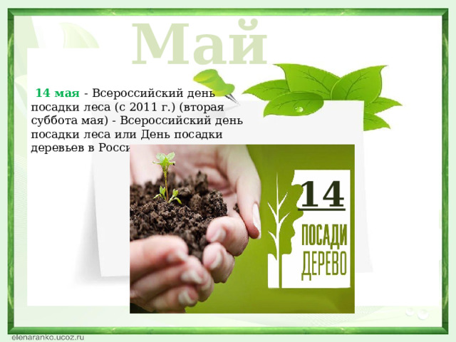 Май   14 мая - Всероссийский день посадки леса (с 2011 г.) (вторая суббота мая) - Всероссийский день посадки леса или День посадки деревьев в России 14  