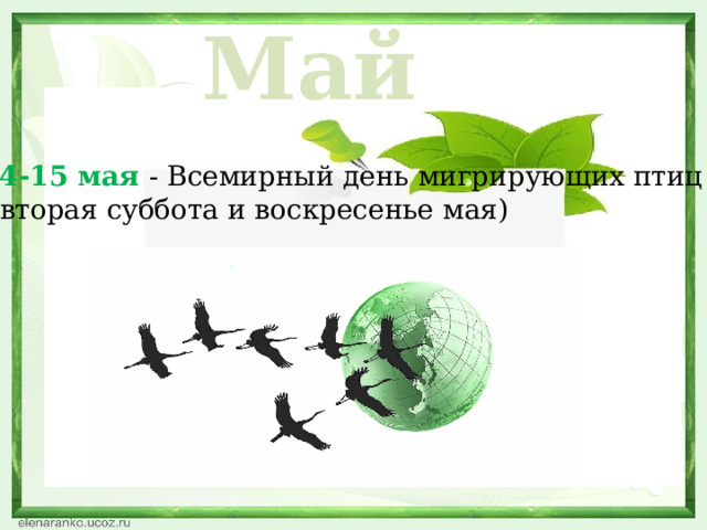 Май 14-15 мая - Всемирный день мигрирующих птиц  (вторая суббота и воскресенье мая)  